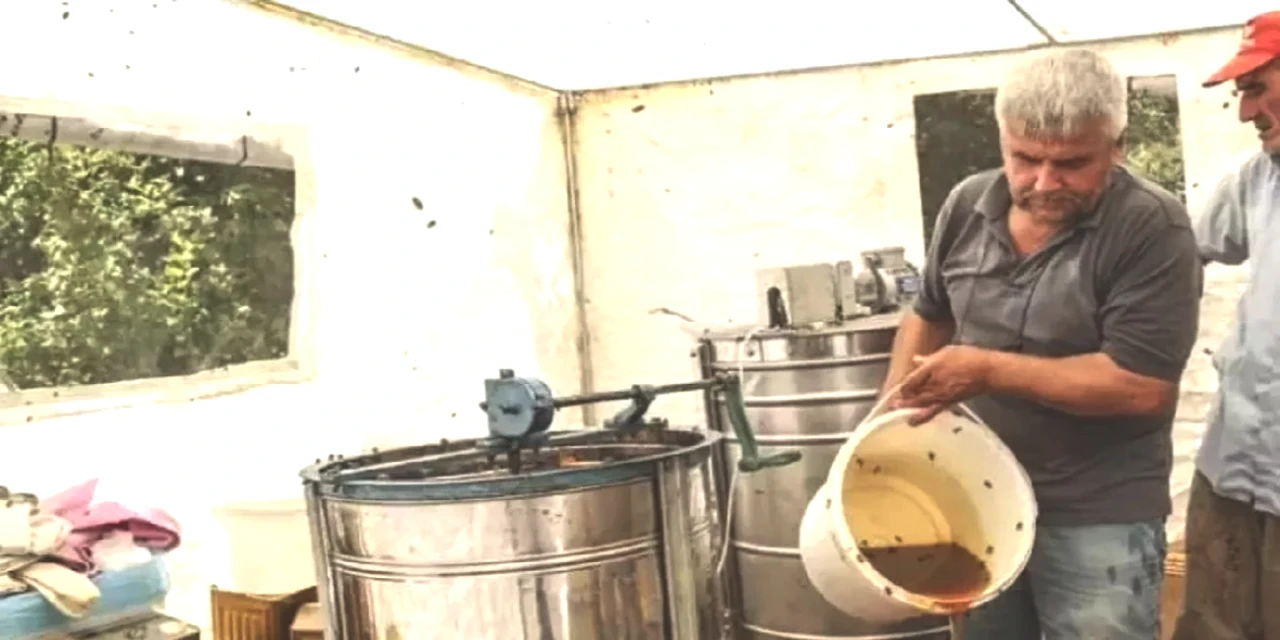 Hasadı Tamamlandı! Kilosu 2.500 TL'den Satılan Bu Şifalı Ürünle Hastalıklara Veda Edin!