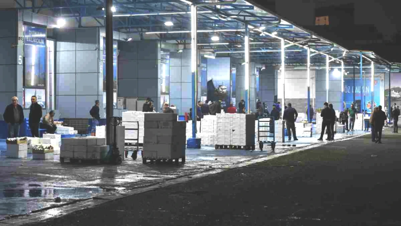 Balık Avı Sezonu Resmen Başladı! ABB Balık Hali Günlük Kontrollerine Geçti