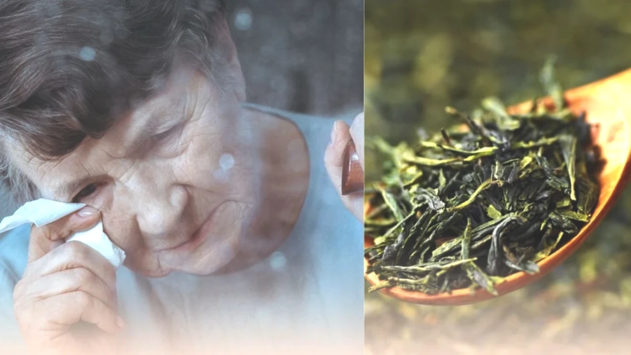 Alzheimer'ı Önlemede Etkili Doğal Yöntemler! Uzmanlardan Hafızayı Güçlendiren İpuçları