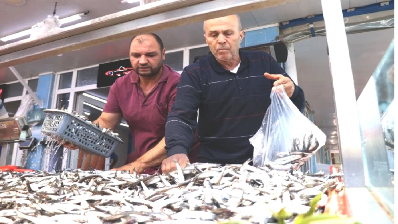 Kışın Geldiği Haberini Veriyor: Fiyatlar Düşüyor! Kilo 200 TL'ye Sıfırlanıyor!
