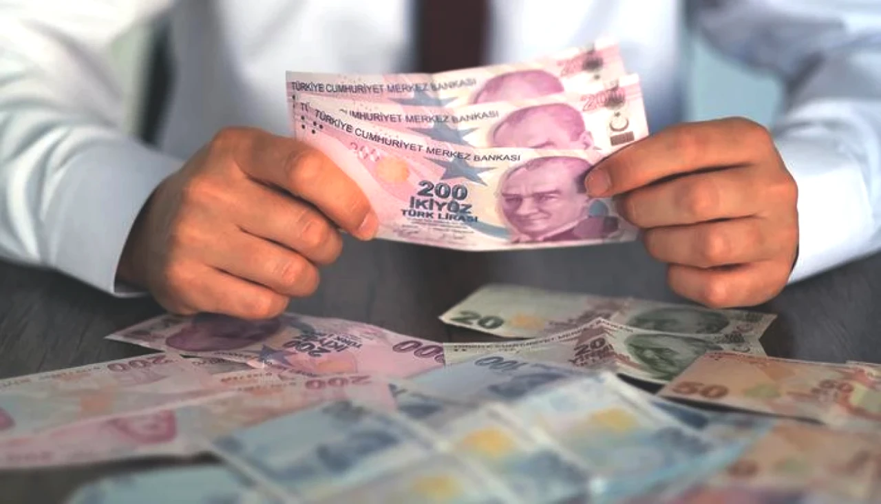 Türkiye'de Geçen Yıl Faaliyet Gösteren Mali Araç Kuruluşlarının Sayısı Açıklandı!