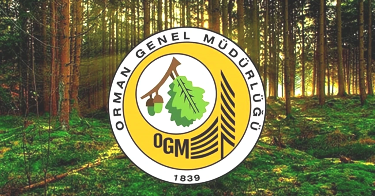 Orman Genel Müdürlüğü'nden Engelli ve Eski Hükümlü İşçi Alımı! Başvuru Süreci ne Zaman?